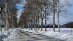 10022025_Canon EOS M3_29th round to Hokkaido_Tokachi Shirakaba Namiki00002