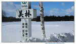 10022025_Canon EOS M3_29th round to Hokkaido_Tokachi Shirakaba Namiki00003