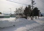 13022025_Canon EOS M3_29th round to Hokkaido_Way to Kitamishi_Kitakitsune Farm00012