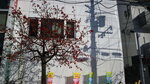 14022025_Canon EOS M3_29th round to Hokkaido_Way to Kitahiroshima00011