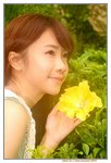 21032015_Ma Wan Park_Yellow Flower_Albee Ko00001