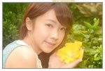 21032015_Ma Wan Park_Yellow Flower_Albee Ko00004