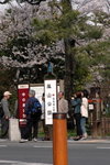 6-10 April 2006_京阪神之旅_嵐山風景區00018