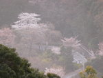6-10 April 2006_京阪神之旅_嵐山風景區00024