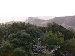 6-10 April 2006_京阪神之旅_嵐山風景區00026