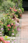 13092009_Tai Po Waterfront Park_Boo Kwok00103