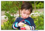 22032015_Ma On Shan Park_Chan Hok Yin00060