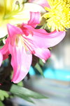 01022014_Chinese New Year Flowers at Home00002