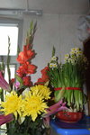 31012014_Chinese New Year Flowers at Home00009