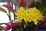 31012014_Chinese New Year Flowers at Home00017
