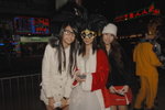 23122007_NMK1_Cat and Friends00006