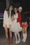 23122007_NMK1_Cat and Friends00005