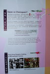 1132016_Hong Kong Flower Show_Flowers and Cheongsam00004