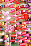 1132016_Hong Kong Flower Show_Flowers and Cheongsam00011