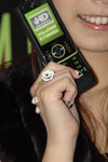 13012008_Motorola Road Show_Chi Chi Lam00021