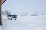 06022018_18 Round Hokkaido Tour_Koshimizu Lily Park00025