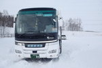06022018_18 Round Hokkaido Tour_Koshimizu Lily Park00026