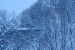 06022018_18 Round Hokkaido Tour_Shiretoko Oshinkoshin Falls00011