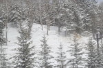 06022018_18 Round Hokkaido Tour_Way to Yunomori Hotel0000015