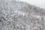 06022018_18 Round Hokkaido Tour_Way to Yunomori Hotel0000016