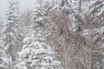 06022018_18 Round Hokkaido Tour_Way to Yunomori Hotel0000017