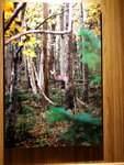 06022018_Samsung Galaxy Galaxy S7 Edge_18 Round Hokkaido Tour_Shiretoko Grand Hotel00022