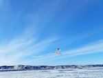 07022018_Samsung Galaxy Galaxy S7 Edge_18 Round Hokkaido Tour_Aurora Ice Breaker at abashiriko00022