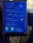 07022018_Samsung Galaxy Galaxy S7 Edge_18 Round Hokkaido Tour_Shiretoko Grand Hotel00011