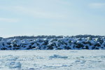 07022018_18 Round Hokkaido Tour_Abashiri Ice Breaker Tour00104