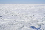 07022018_18 Round Hokkaido Tour_Abashiri Ice Breaker Tour_Ice00029
