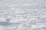 07022018_18 Round Hokkaido Tour_Abashiri Ice Breaker Tour_Ice00043