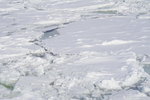 07022018_18 Round Hokkaido Tour_Abashiri Ice Breaker Tour_Ice00046