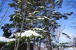 07022018_18 Round Hokkaido Tour_Abashiri Prison Museum00035
