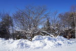 07022018_18 Round Hokkaido Tour_Abashiri Prison Museum00084