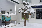 07022018_18 Round Hokkaido Tour_Outside Shiretoko Grand Hotel00063