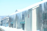 05022026_32 round to Hokkaido_Otaru Unga00038