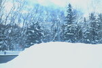 04022026_32 round to Hokkaido_Bieicho_Shirahige no Taki00022