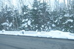 04022026_32 round to Hokkaido_Bieicho_Shirahige no Taki00024