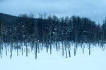 04022026_32 round to Hokkaido_Bieicho_Snowy Aoiike00006