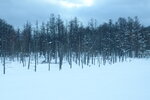 04022026_32 round to Hokkaido_Bieicho_Snowy Aoiike00007