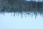 04022026_32 round to Hokkaido_Bieicho_Snowy Aoiike00008