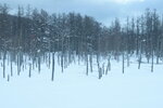 04022026_32 round to Hokkaido_Bieicho_Snowy Aoiike00010