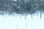 04022026_32 round to Hokkaido_Bieicho_Snowy Aoiike00011