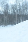 04022026_32 round to Hokkaido_Bieicho_Snowy Aoiike00019