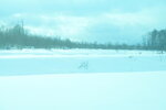 04022026_32 round to Hokkaido_Sounkyo to Bieicho00031