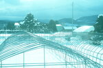 04022026_32 round to Hokkaido_Sounkyo to Bieicho00055