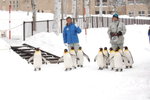 (3)12022008_Hokkaido Tour Day Two_旭川動物園00032