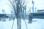 02022026_32 round to Hokkaido_Asahikawa_Otokoyama Shuzo00025