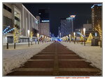 10122024_Samsung Smartphone Galaxy S10 Plus_28 round to Hokkaido_Asahikawa Night00017