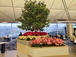 10122024_Samsung Smartphone Galaxy S10 Plus_28 round to Hokkaido_Hong Kong International Airport00014